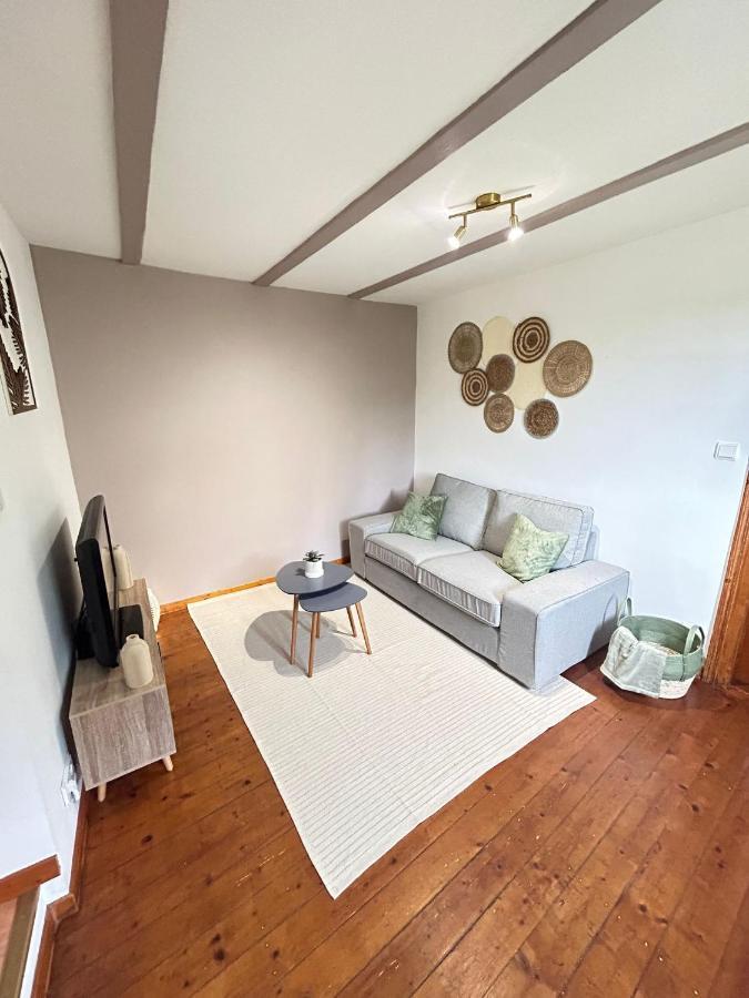 Appartamento Le Cocon Du Vignoble - Free Wifi - Netflix Turckheim Esterno foto